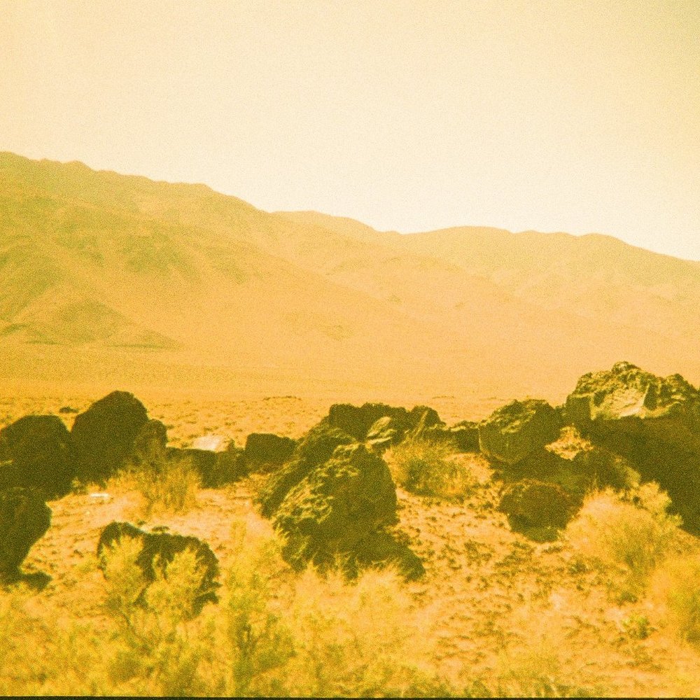 Meet your Posher, Noah